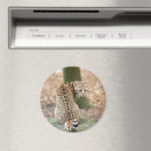 Geoffroy-cat-004 Magnet (In Situ (Geschirrspüler))