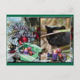 Geoffroy Cat Christmas Postcard Feiertagspostkarte