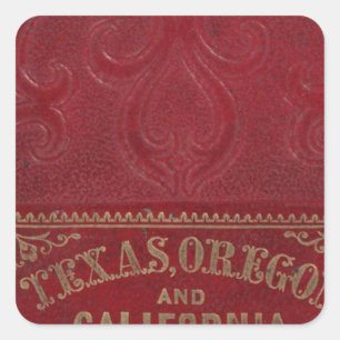 Geografische Sicht von Texas Quadratischer Aufkleber