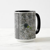 Geologie-Granit-Felsen-Beschaffenheit mit Moos Tasse (VorderseiteRechts)