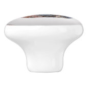 Geologie Grungy Sedemantary Rock Textur Keramikknauf (Seitenansicht)