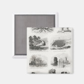 Geologie Magnet (Vorderseite/Rückseite)