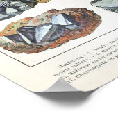Geologie Vintager Mineralien Poster (Ecke)