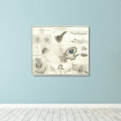 Geologische Erscheinungen Leinwanddruck (Insitu (Holzboden))