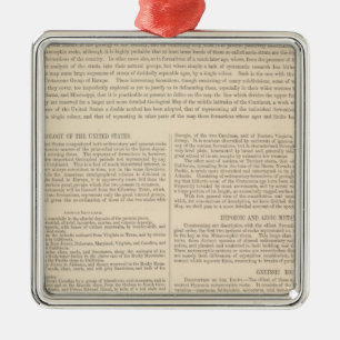 Geologische Karte der Vereinigten Staaten 2 Silbernes Ornament