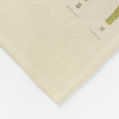 Geologische Karte von New Hampshire 3 Fleecedecke (Ecke)