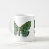Geometra papilionaria - The Large Emerald Moth Kaffeetasse (Vorderseite Links)