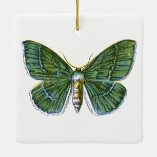 Geometra papilionaria - The Large Emerald Moth Keramikornament