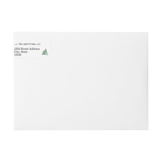 Geometric Luna Moth (Vorderseite)