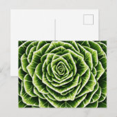 Geometrisches Lettuce-Muster - Blendenart Postkarte (Vorne/Hinten)
