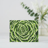 Geometrisches Lettuce-Muster - Blendenart Postkarte (Stehend Vorderseite)