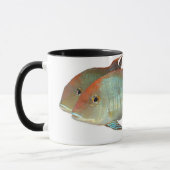 Geophagus SP. "Tapajos orange Kopf " Tasse (Links)