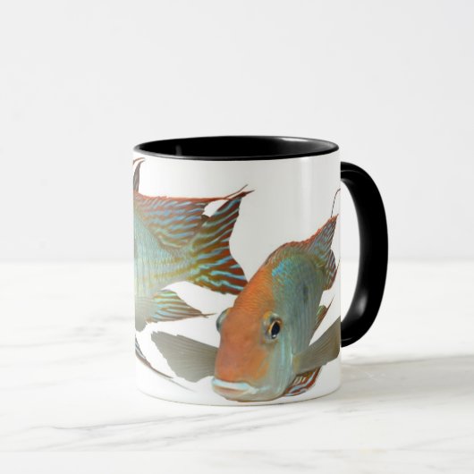 Geophagus SP. "Tapajos orange Kopf " Tasse (VorderseiteRechts)