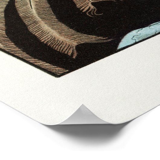 George Barbier Poster (Ecke)