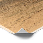 George Catlin angriff den Grizzly Bären 1844 Poster (Ecke)