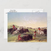 George Catlin - Büffel-Jagd Postkarte (Vorne/Hinten)