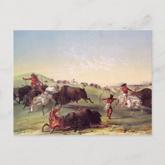George Catlin - Büffel-Jagd Postkarte