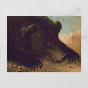 George Catlin - Grizzly Bear and Mouse Postcard Postkarte