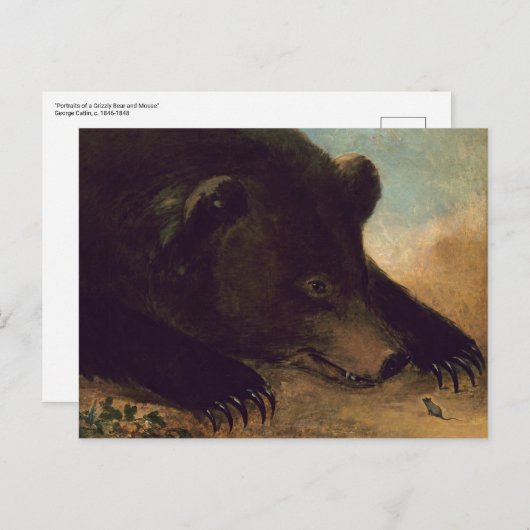 George Catlin - Grizzly Bear and Mouse Postcard Postkarte (Vorne/Hinten)