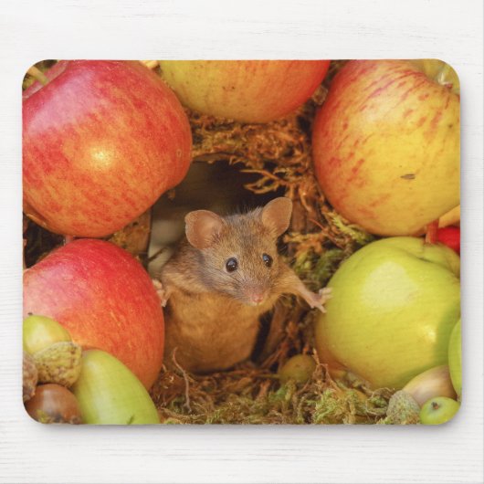 George die Maus-Matte Mousepad (Vorne)