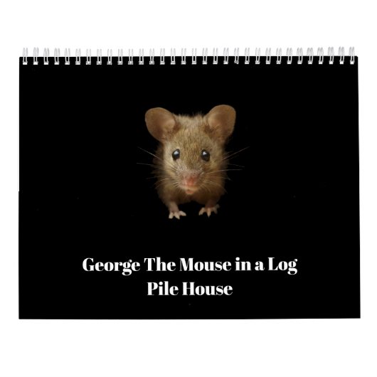 George die Maus mit Klammern Kalender (Rückseite)