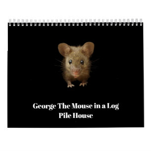 George die Maus mit Klammern Kalender