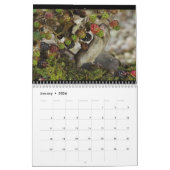 George die Maus mit Klammern Kalender (Jan 2026)