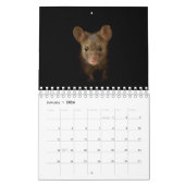 George die Maus mit schwarzem Hintergrund Kalender (Jan 2026)
