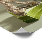 George II chinoiserie torcheres, c.1750 Poster (Ecke)