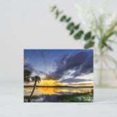 George Lestrange Preserve, Fort Pierce, Florida Postkarte (Stehend Vorderseite)