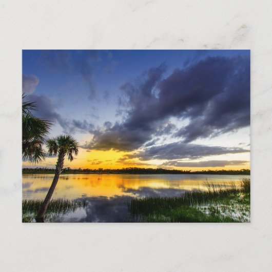 George Lestrange Preserve, Fort Pierce, Florida Postkarte (Vorderseite)