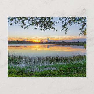 George Lestrange Preserve, Fort Pierce, Florida Postkarte