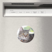 George Magnet (In Situ (Geschirrspüler))