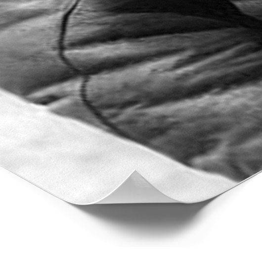 George S Patton Poster (Ecke)