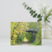 George St Bridge im Herbst Postcard Postkarte (Stehend Vorderseite)