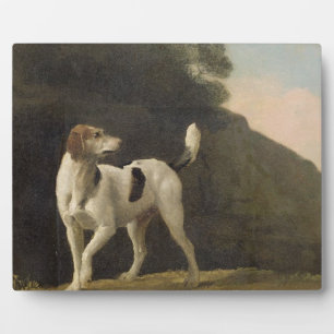 George Stubbs A Foxhound, c.1760 (Öl auf Papier Fotoplatte