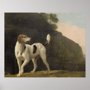 George Stubbs   A Foxhound, c.1760 (Öl auf Papier  Poster