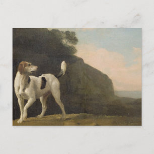George Stubbs   A Foxhound, c.1760 (Öl auf Papier  Postkarte