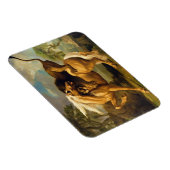 George Stubbs | A Lion Attack a Horse, c.1762 ( Magnet (Rechte Seite)