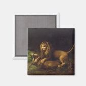 George Stubbs | A Lion Attack a Stag, c.1765 (o Magnet (Vorderseite/Rückseite)