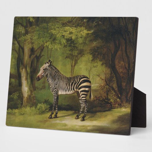 George Stubbs | A Zebra, 1763 (Öl auf Leinwand) Fotoplatte (Seite)