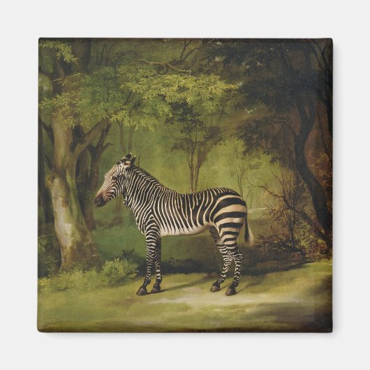 George Stubbs | A Zebra, 1763 (Öl auf Leinwand) Magnet (Vorne)
