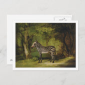 George Stubbs | A Zebra, 1763 (Öl auf Leinwand) Postkarte (Vorne/Hinten)