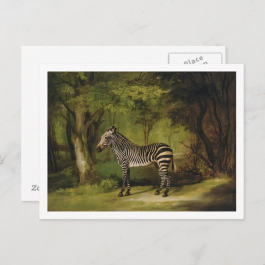 George Stubbs | A Zebra, 1763 (Öl auf Leinwand) Postkarte (Vorne/Hinten)