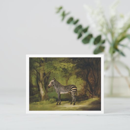George Stubbs | A Zebra, 1763 (Öl auf Leinwand) Postkarte (Stehend Vorderseite)