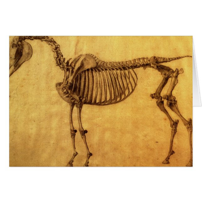 George Stubbs | Abgeschlossene Studie für die erst (Vorderseite (Horizontal))