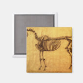 George Stubbs | Abgeschlossene Studie für die erst Magnet (Vorderseite/Rückseite)