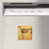 George Stubbs | Abgeschlossene Studie für die erst Magnet (In Situ (Geschirrspüler))