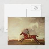 George Stubbs | Bay Malton mit John Singleton Up, Postkarte (Vorne/Hinten)