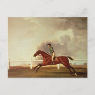 George Stubbs   Bay Malton mit John Singleton Up, Postkarte
